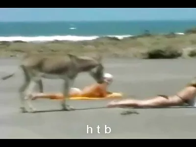 صغيرتي بلوندي يتمتع Sammie دانيلز بركوب افلام سكس راهبة ديك كبيرة