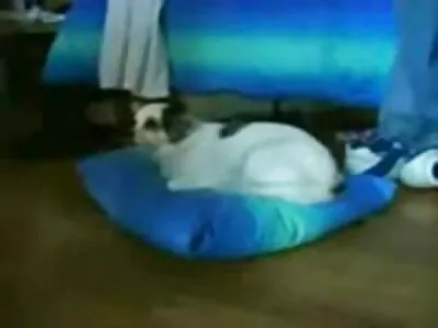 يعاقب زوي مونرو بقضيب خفقان سكس راهبات مترجم كبير